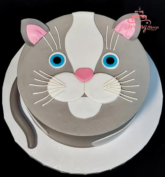 Mẫu bánh sinh nhật cho bé trai tuổi mèo