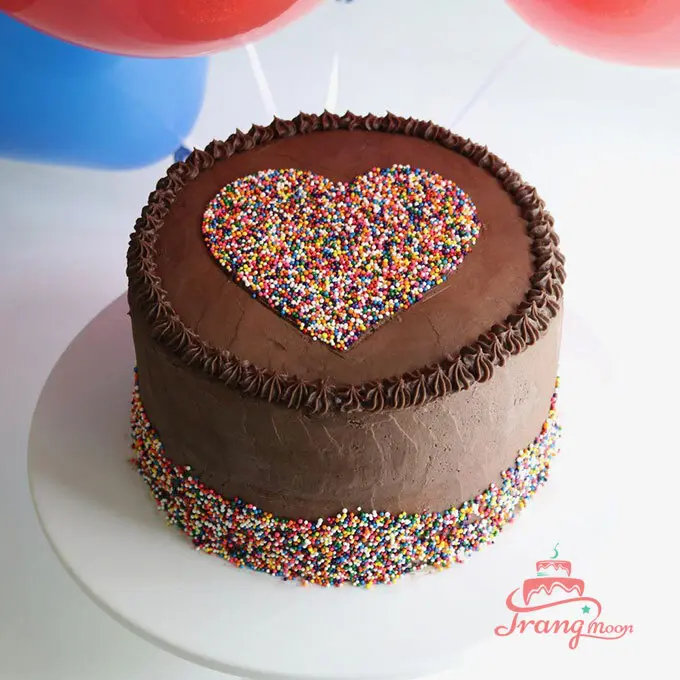 Tổng hợp mẫu bánh sinh nhật socola đẹp để tặng người thân vô cùng ý nghĩa